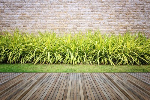 Manter o jardim aparado