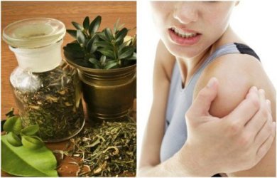 Prepare um álcool de ervas para aliviar as dores articulares