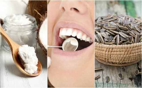 6 soluções naturais para reduzir a placa bacteriana 6 soluções naturais para reduzir a placa bacteriana