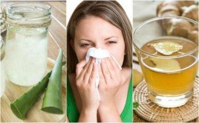 5 remédios de origem natural para acalmar a rinite alérgica