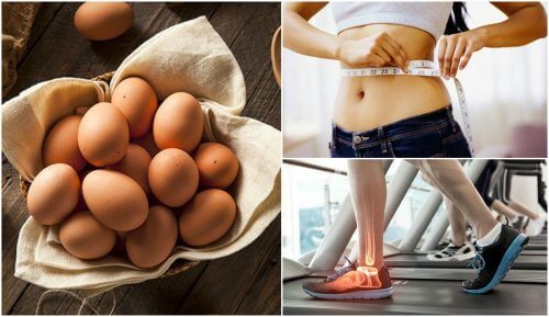 7 razões para comer ovos regularmente 7 razões para comer ovos regularmente