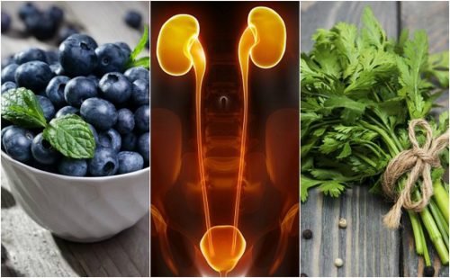 7 alimentos para proteger os rins e a bexiga