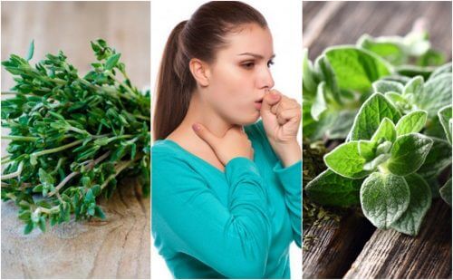 Como aliviar a tosse com catarro usando 5 plantas medicinais