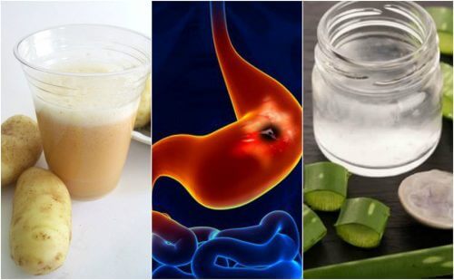 5 remédios caseiros para o alívio das úlceras estomacais
