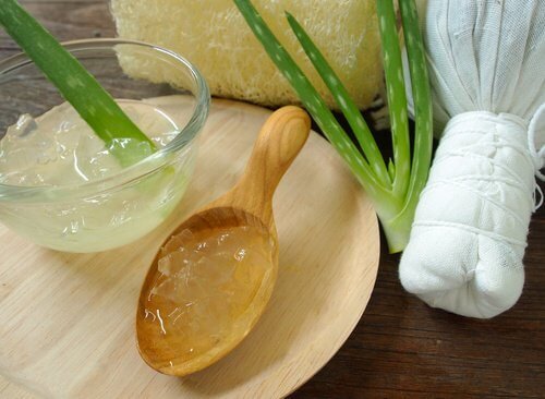 Aloe vera para aliviar as rachaduras nos pés