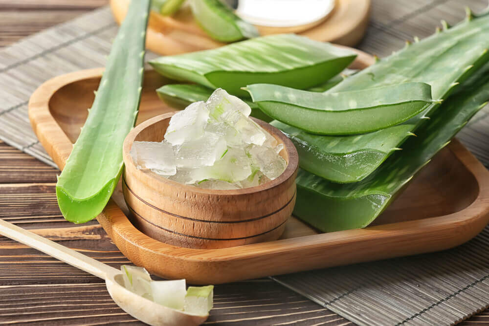 O gel de aloe vera pode ser combinado com um pouco de óleo de rosa-mosqueta para a obtenção de um creme anti-inflamatório e hidratante
