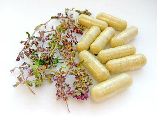 Algumas plantas medicinais