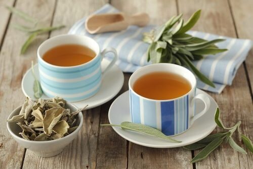 Chá de urtiga combate as ondas de calor da menopausa