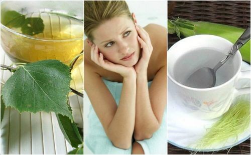 5 infusões naturais para combater a cistite 5 infusões naturais para combater a cistite