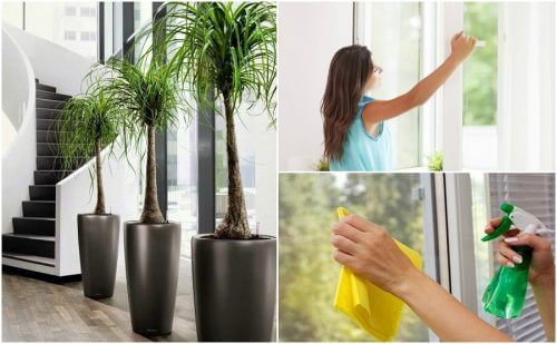 6 coisas que você pode fazer para melhorar a qualidade do ar da sua casa 6 coisas que você pode fazer para melhorar a qualidade do ar da sua casa