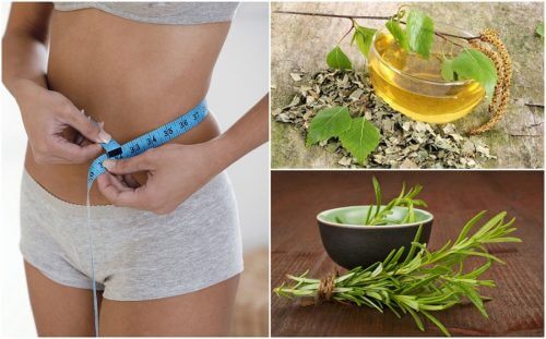 8 ervas saudáveis ​​que ajudam na sua dieta para perder peso