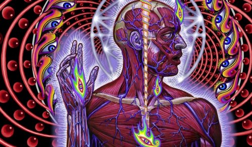 Desenho da glândula pineal