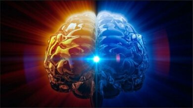 Glândula pineal: a reguladora de ciclos e o olho vestigial
