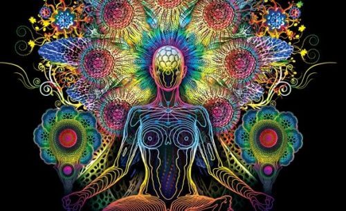 Glândula pineal: a reguladora de ciclos e o olho vestigial Glândula pineal: a reguladora de ciclos e o olho vestigial