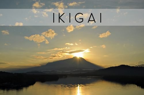 Ikigai, o segredo japonês para viver melhor