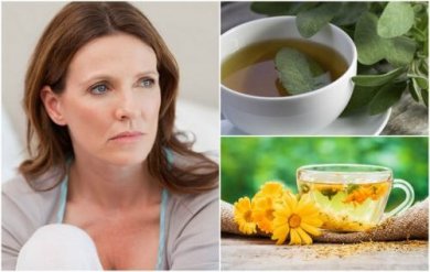 5 remédios naturais que ajudam a reduzir as ondas de calor da menopausa