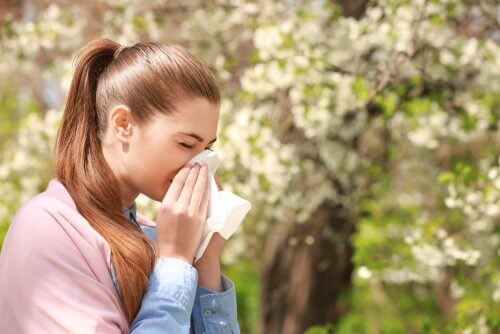 Alimentos para combater a alergia sazonal Alimentos para combater a alergia sazonal