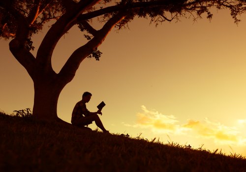 Moço desfrutando do livro sem cicatrizes emocionais