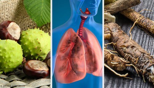 4 remédios caseiros para fortalecer os pulmões