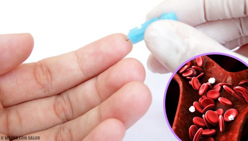 6 alimentos ideais para regular os níveis de hemoglobina 6 alimentos ideais para regular os níveis de hemoglobina