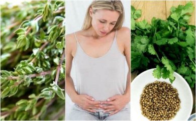 6 ervas carminativas que ajudam a eliminar os gases