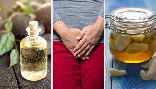 9 remédios naturais para combater o mau cheiro vaginal 9 remédios naturais para combater o mau cheiro vaginal
