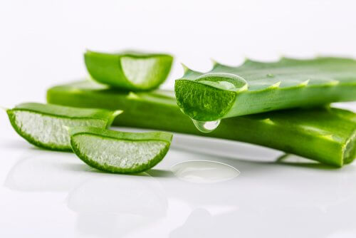 Aloe vera ajuda a manter o cabelo forte e saudável