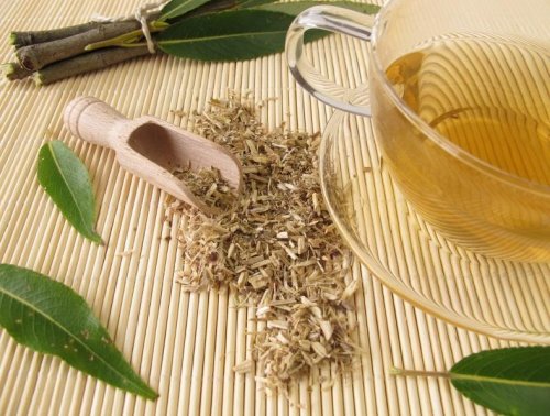 Chá de casca de salgueiro branco para o tratamento da artrite