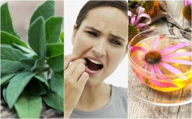Como combater a gengivite com 5 remédios de origem natural