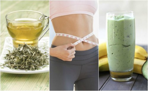 3 bebidas com chá verde para perder peso