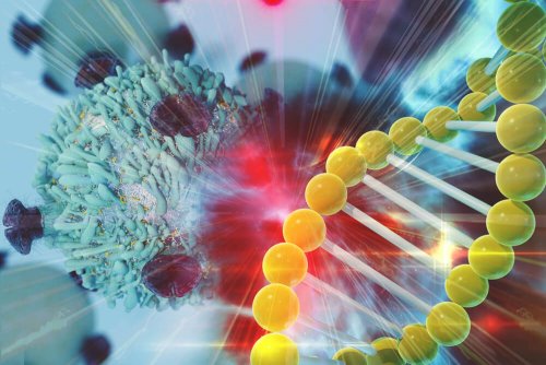DNA e cromossomos sexuais