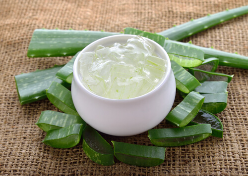 Aloe vera para a língua branca