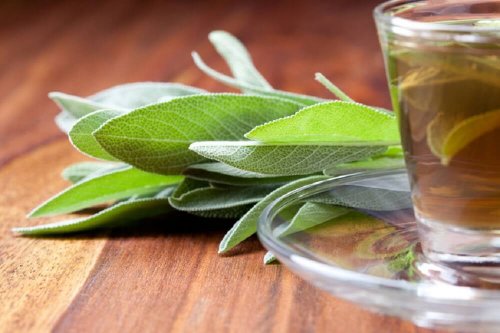 Chá de sálvia para regular o pH