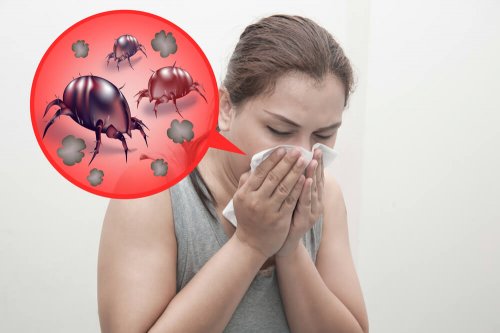 Alergia causada pela presença de ácaros em casa