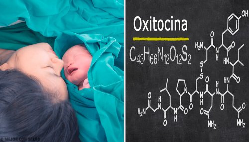 Oxitocina, o hormônio do amor