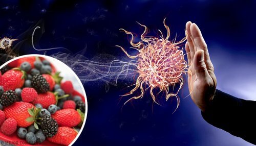 9 alimentos para aumentar as defesas do corpo 9 alimentos para aumentar as defesas do corpo