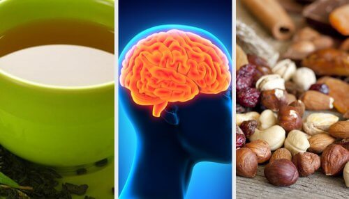Alimentos que potencializam a memória e conselhos para estimular a atividade cognitiva Alimentos que potencializam a memória e conselhos para estimular a atividade cognitiva
