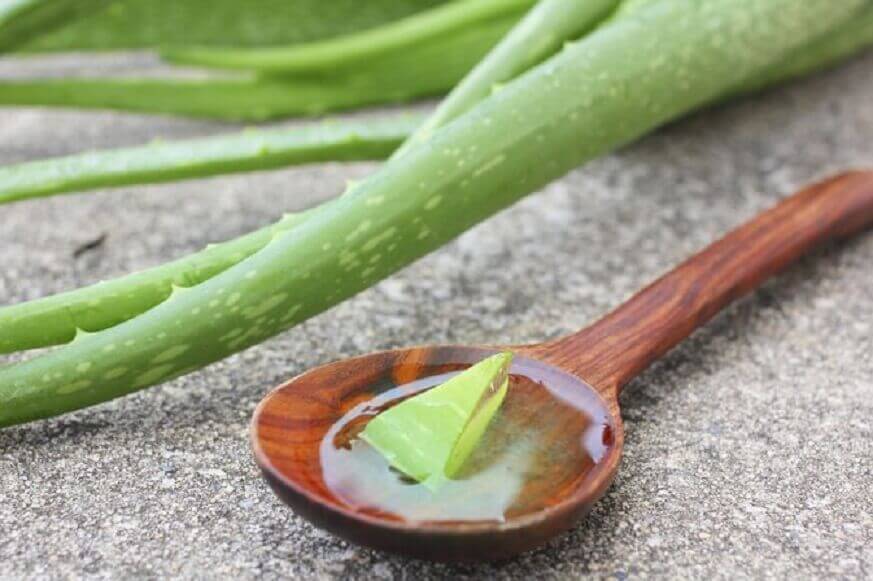 Aloe vera para levantar as pálpebras
