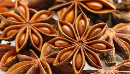 Anis para a digestão