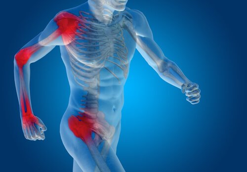 O que devemos saber sobre cartilagens e ligamentos?