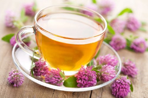 Chá de valeriana para dormir melhor
