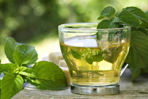 Chá verde para perder peso