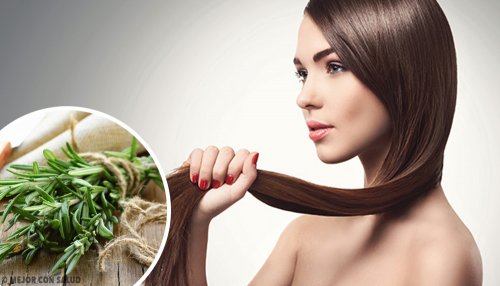 Ervas e especiarias para promover o crescimento do cabelo Ervas e especiarias para promover o crescimento do cabelo