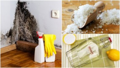 5 formas de se livrar da umidade da casa