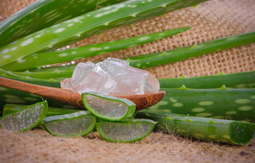 Gel de aloe vera