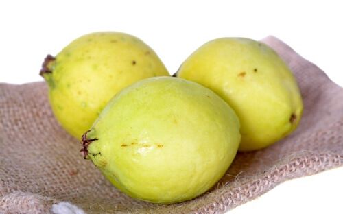 Goiabas
