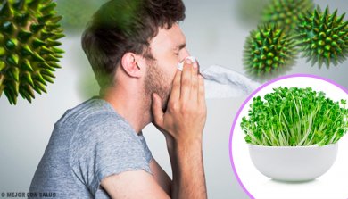 6 benefícios da alfafa pelos quais vale a pena incluí-la na dieta