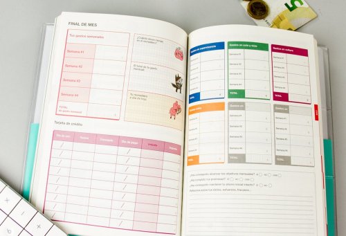 Organização para economizar dinheiro