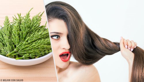 Como usar a cavalinha para o crescimento do cabelo Como usar a cavalinha para o crescimento do cabelo