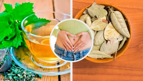 5 ervas que ajudam a melhorar os problemas digestivos